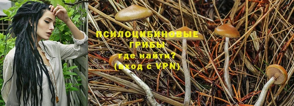 гашик Нягань