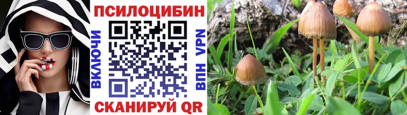 Псилоцибиновые грибы прущие грибы Кремёнки